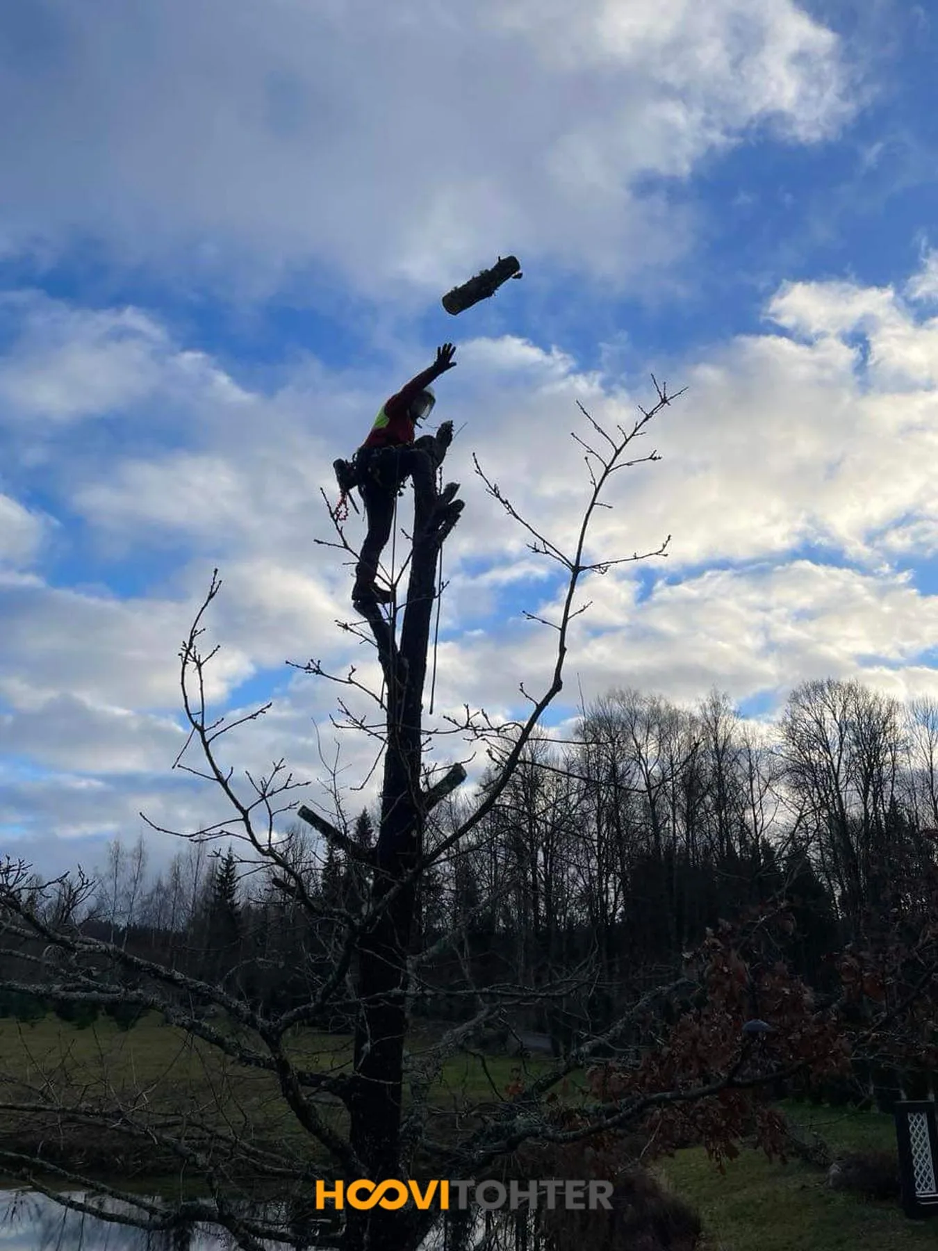 Ohtliku puu langetamine Lõuna-Eestis